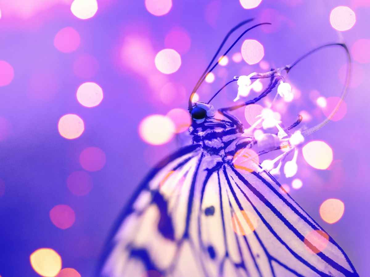 Ist der Ruf erst&nbsp;ruiniert…